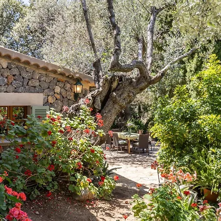 Rustica S'oliveret Villa Soller